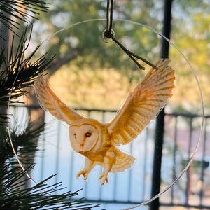 Barn Owl Holiday Christmas Ornament bird watcher lover wizard